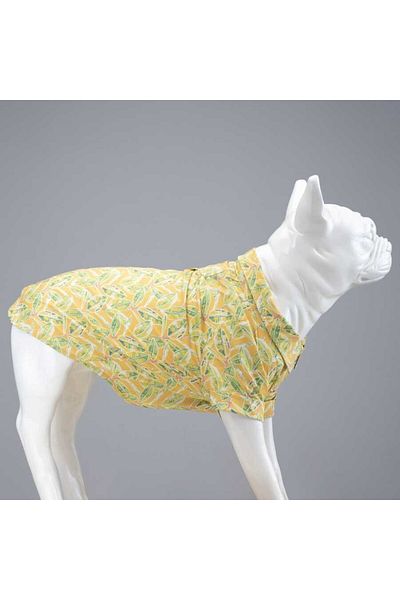 Lindodogs Cool Lime Dog Shirt