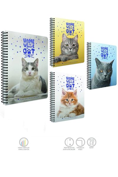 Gıpta دفتر ملاحظات بغطاء بلاستيكي حلزوني من Cat-book مقاس A4 120 ورقة مربعة (عبوة من 4 قطع)