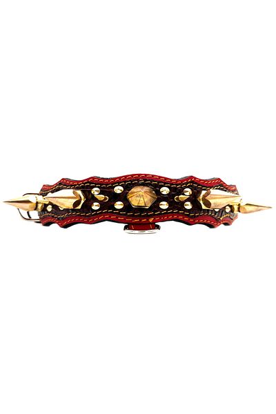 Tasma Market Red-Burgundy Special Design Luxury Leather Dog Collar