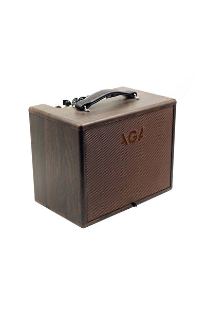 AGA Sc60 Akustik Gitar Amfisi