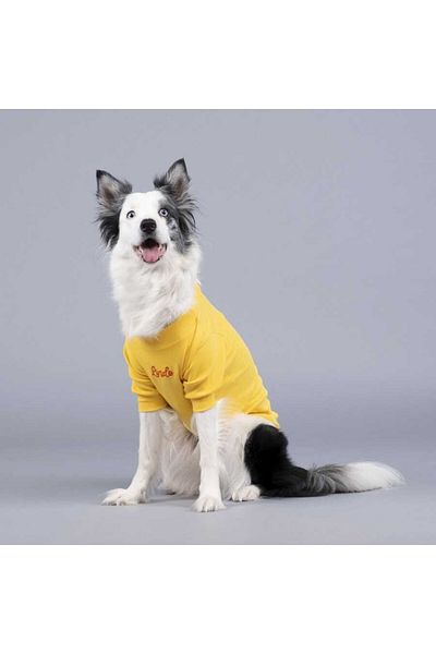 Lindodogs Flex Little Bit of Sunshine Dog T-shirt