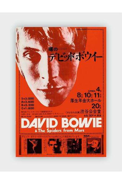 fırsatlar diyarı David Bowie & The Spiders From Mars Vintage Duvar Posteri - ...