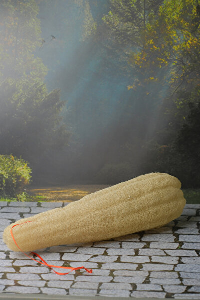 birgi köy evi ألياف اليقطين كاملة