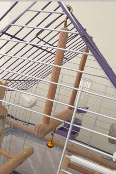 Alyones Wooden Cage Swing - For Budgies and Cockatiels
