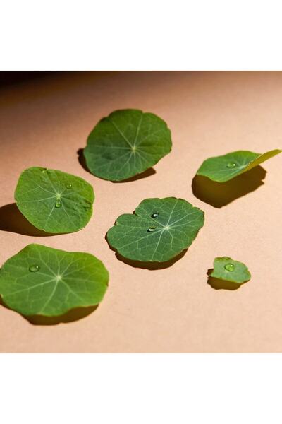 erborian Cc Eye With Centella Asiatica Brightening Moisturizing Brightening CC Cream 10ml Renewal460