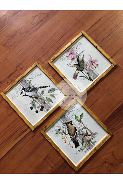 HAYALHANE AHŞAP Birds Vintage Tablo Seti / Kuşlu Tablo Seti