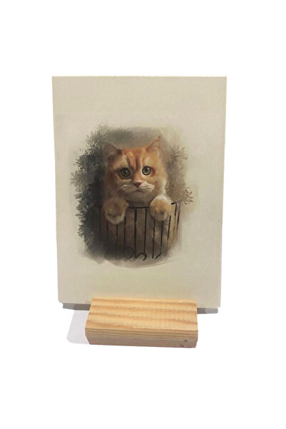 Dikkat Ajans 2024 takvim sulu boya kedi