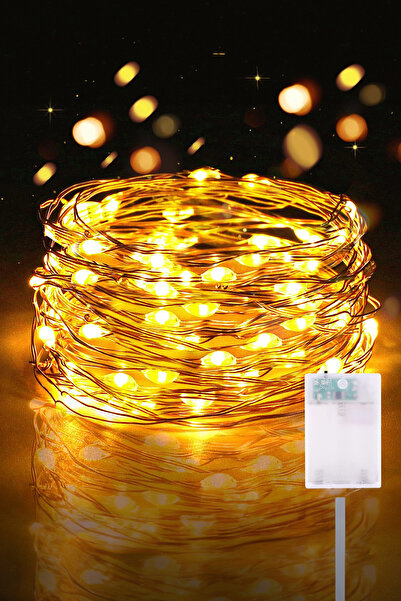 CARNIVAL LAND Led 3 Metre Sarı Renkli Peri Led Işık Bahçe Balkon Ağaç Lambası Aydınlatma Dekorasyon