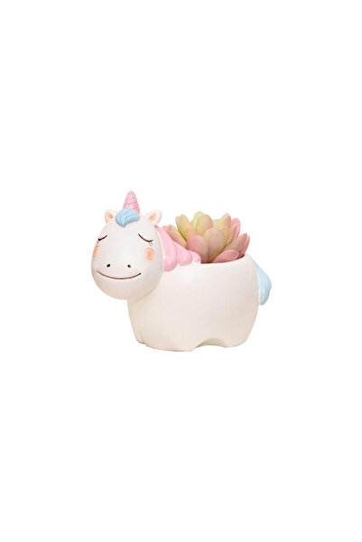 Miniminti Sevimli Unicorn Kaktüs Saksısı