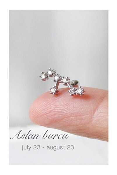 HANGAR Yıldız Haritası Aslan Kristal Zirkon Çelik Helix Piercing Küpe 12 Takı...