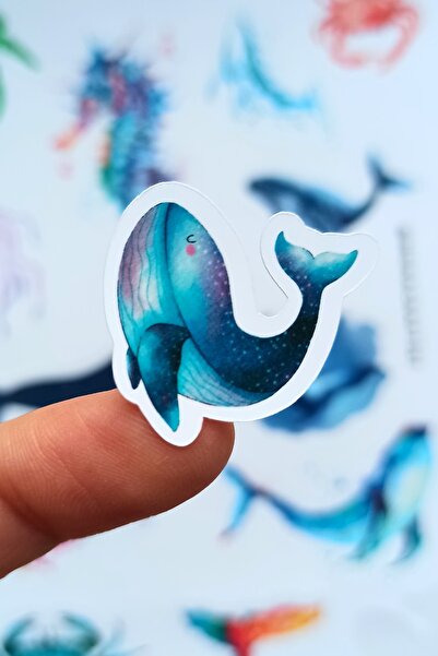 Mona Craftist 13 قطعة من ملصقات الكمبيوتر المحمول ذات الألوان المائية على شكل...