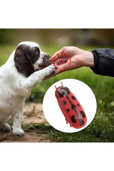 Busstier Ladybug Moving Cat Toy, Automatic Moving Ladybug Shaped Cat Toy