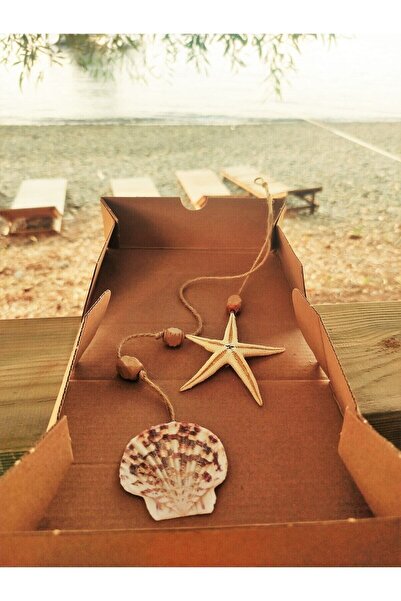 özde dekor Gerçek Deniz Yıldızı Ve Istiridye (DENİZ KABUĞU) Duvar & Balkon Süsü