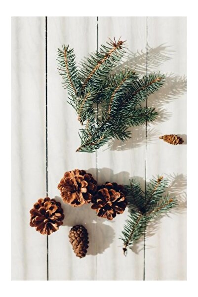 SHARLO STORE Conuri de pin naturale, nevopsite, de dimensiune medie, pentru m...