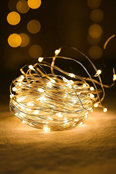 CARNIVAL LAND Peri Led Işık 3 Metre Gün Işığı Renk Dekor Lambası Ledli Bahçe ...