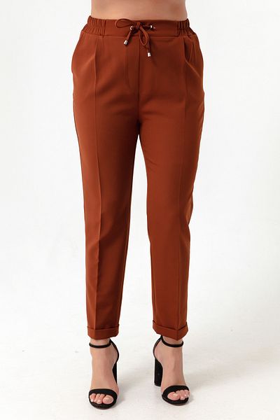 Lafaba Women's Brown Elastic Waist Plus Size Pants
