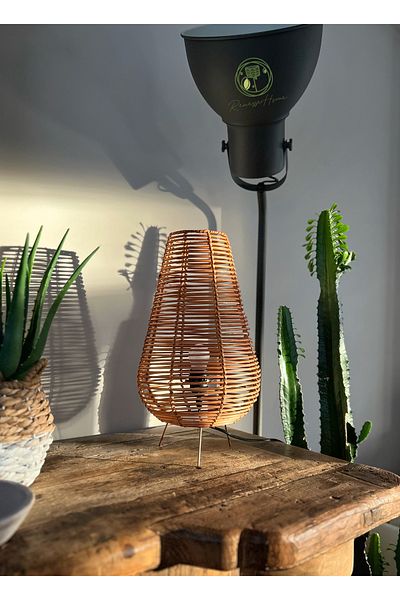 Renesse Home Alexandria Handmade Rattan Table Lamp & Lampshade
