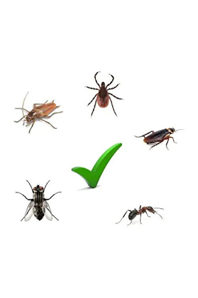 Vebi Draker RTU Akrep, Kene, Kırkayak, Gümüşçün İlacı