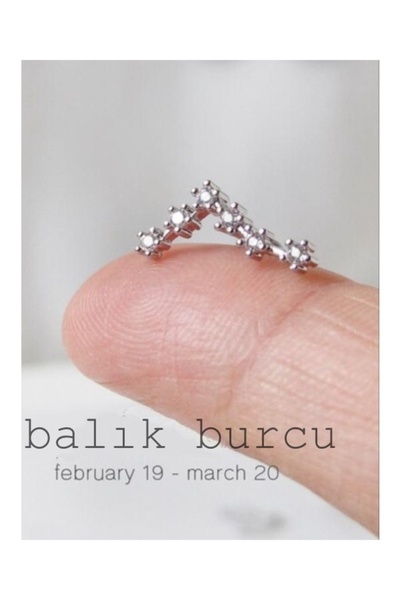 Yıldız Haritası Balık Kristal Zirkon Çelik Helix Piercing Küpe 12 Takımyıldızı (ÖZEL GÜN HEDİYESİ)