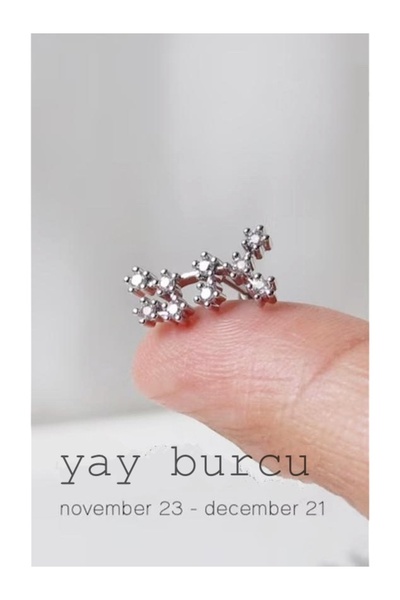 Yıldız Haritası Yay Kristal Zirkon Çelik Helix Piercing Küpe 12 Takımyıldızı (ÖZEL GÜN HEDİYESİ)