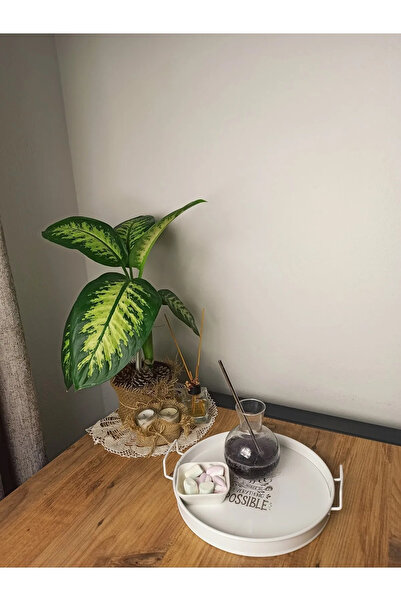 Tutalhome Metal Presentation Tray 27 Cm - White