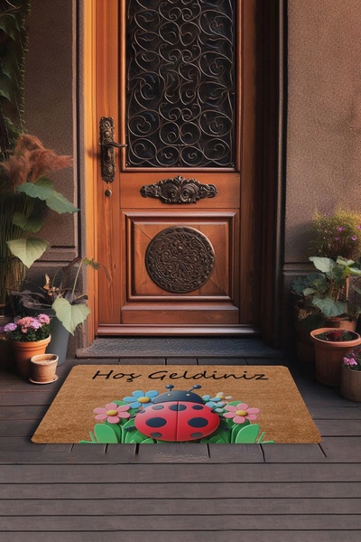 Valerine Life سجادة باب أمامية للترحيب بالدعسوقة والبابونج مقاس 45 × 70 سم