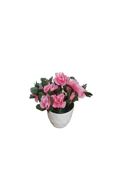 Cennet Home Açelya çiçeği beyaz saksıda rengarenk dekoratif masaüstü yapay çiçek