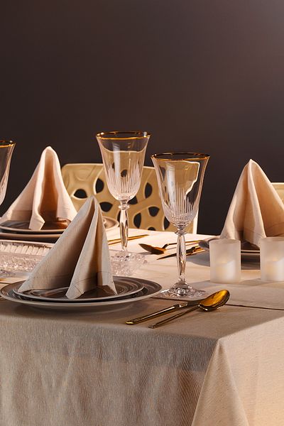 Fecra Dora 6-Piece Linen Napkin 30*30 cm