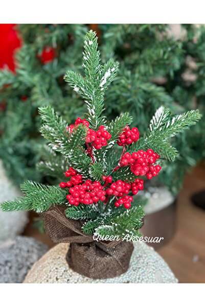 QUEEN AKSESUAR İthal lüks yılbaşı hediyesi masa üstü dekorasyon hediyelik kok...