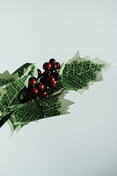 Lilac Home Yapay Çiçek Ökse Otu Yapraklı Kokina Demeti