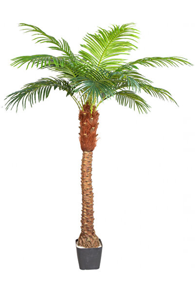 Herdekora Yapay Phoenix Palmiye Ağacı Gerçek Dokulu 15 Yaprak 200 Cm.