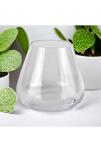 Girist Pet Küçük Boy Cam Fanus Cam Vazo Teraryum Balık Ve Çiçek Dekoru 15x17 (BOŞ FANUS)2,20 Lt