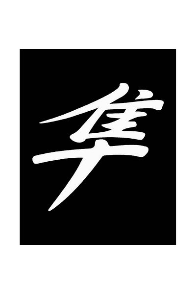 Z zepplin Hayabusa White Logo Patch mare pe spate