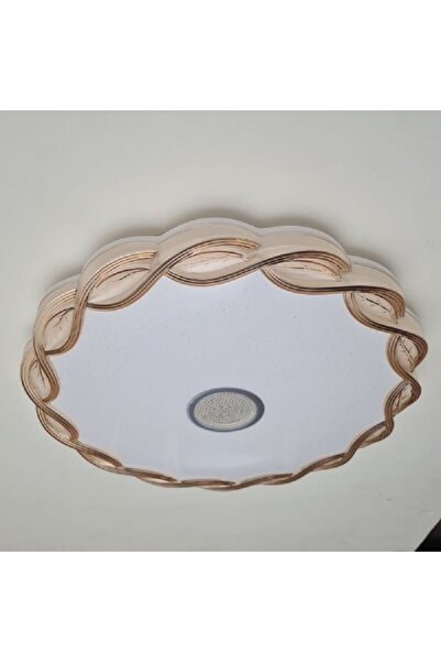 ERBAY Burgu Şık Dekoratif 45w Sıva Üstü Desenli Armatür –