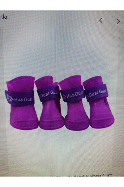 Demirhan Ha Guai Köpek Yürüyüş Ayakkabısı