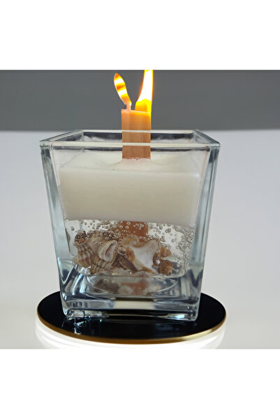 Lion KARE CAM İÇİNDE DENİZ KABUKLU MUM