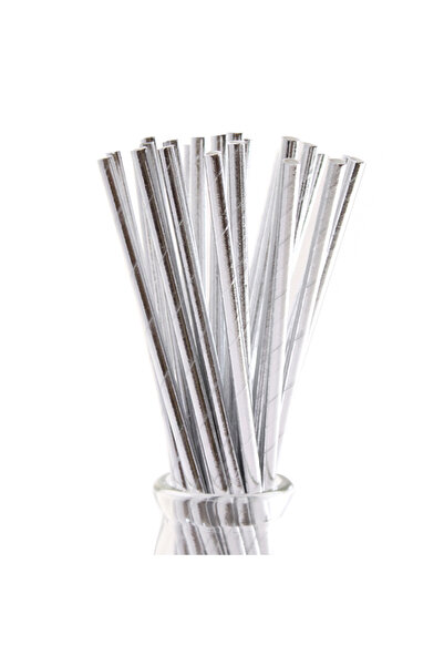 Genel Markalar Gümüş Metalik Renk Kağıt Pipet 24 Adet