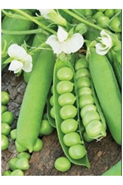 Köy Tohumları 200 Adet Tohum Kışlık Dolaplık Araka Organik Bezelye Tohumu Hed...