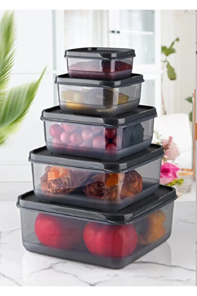 entarzlife Ruby 5-Piece Storage Container Set Square Food Storage Container Set 0.25-0.5-1.0-1.7-2.5 Liter