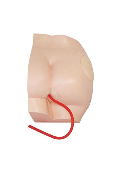 Anatomia İntramüsküler (IM) Kalça Enjeksiyon Modeli