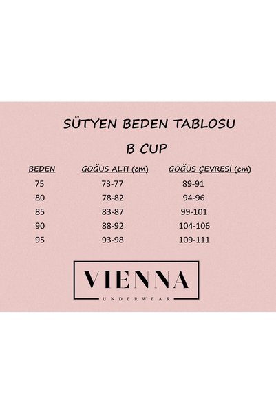 Vienna Underwear Women's Lace, Padded, Underwire Bra Set