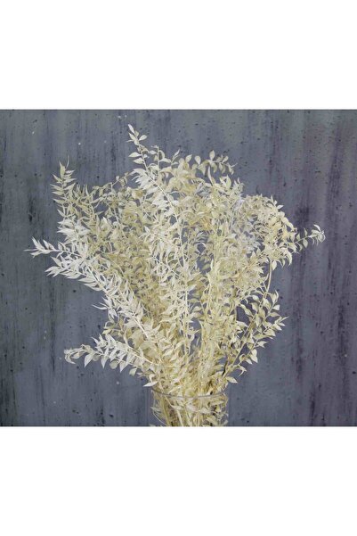 Nikadu Kuru Çiçek Kurutulmuş Ruskus Kırık Beyaz Kokina 10 Dal Uzunluk 40 Çap 20 Cm