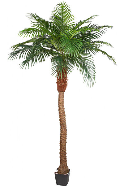 Herdekora Yapay Phoenix Palmiye Ağacı Gerçek Dokulu 21 Yaprak 260 Cm.