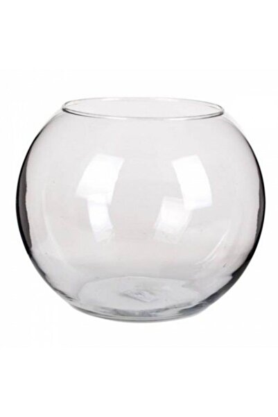 dayıpet Küçük Boy Dayanıklı Cam Fanus Balık ve Çiçek Dekoru