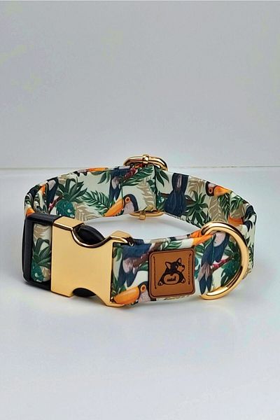 UTDpet Toco Dog Collar MidLite