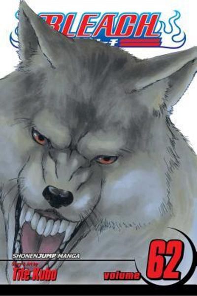 Arkadaş Yayıncılık Bleach 62