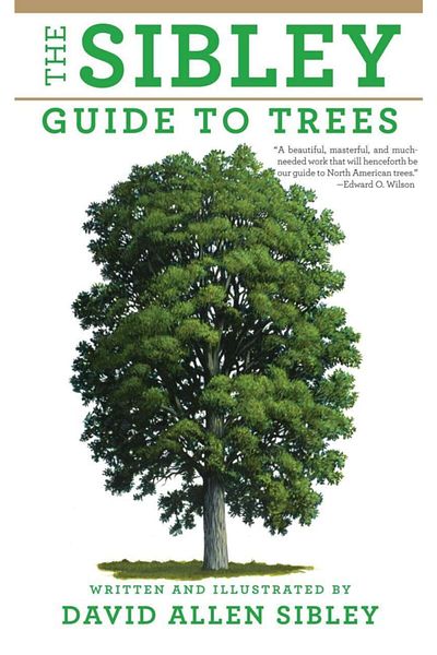 Arkadaş Yayıncılık The Sibley Guide To Trees