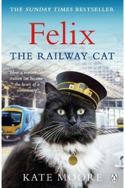 Arkadaş Yayıncılık Felix The Railway Cat