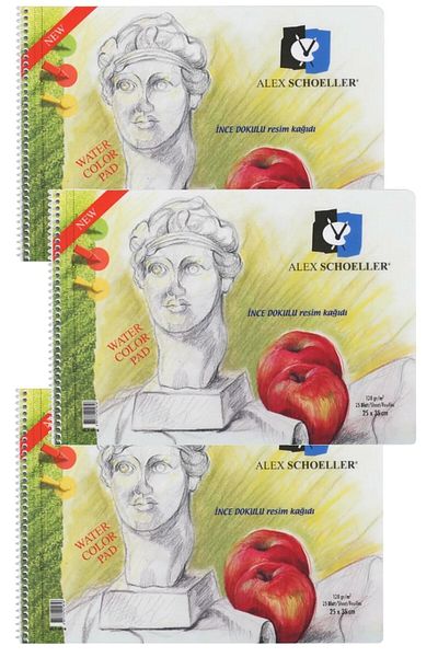 Alex Schoeller Set caiet de pictură în spirală (schiță-desen) 120 gr 15 coli 25x35 cm (5 bucăți)
