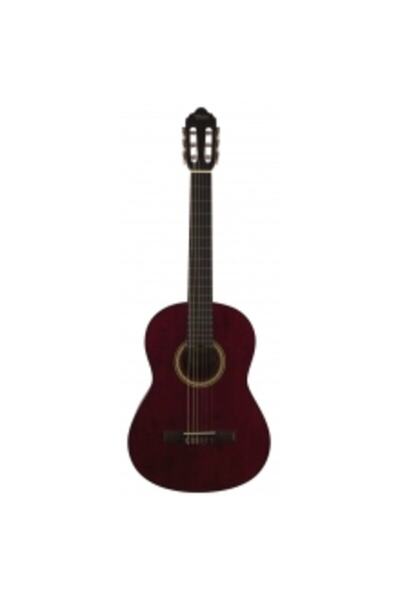 VALENCIA Vc 204twr Klasik Gitar T(KILIF YEDEK TEL SETİ PENA HEDİYE)